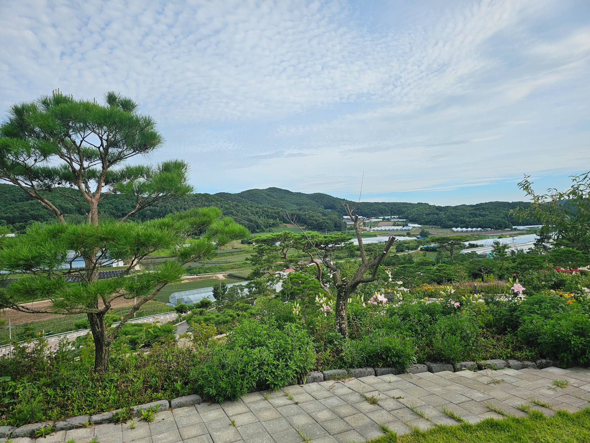 Image #1 from 송은정
