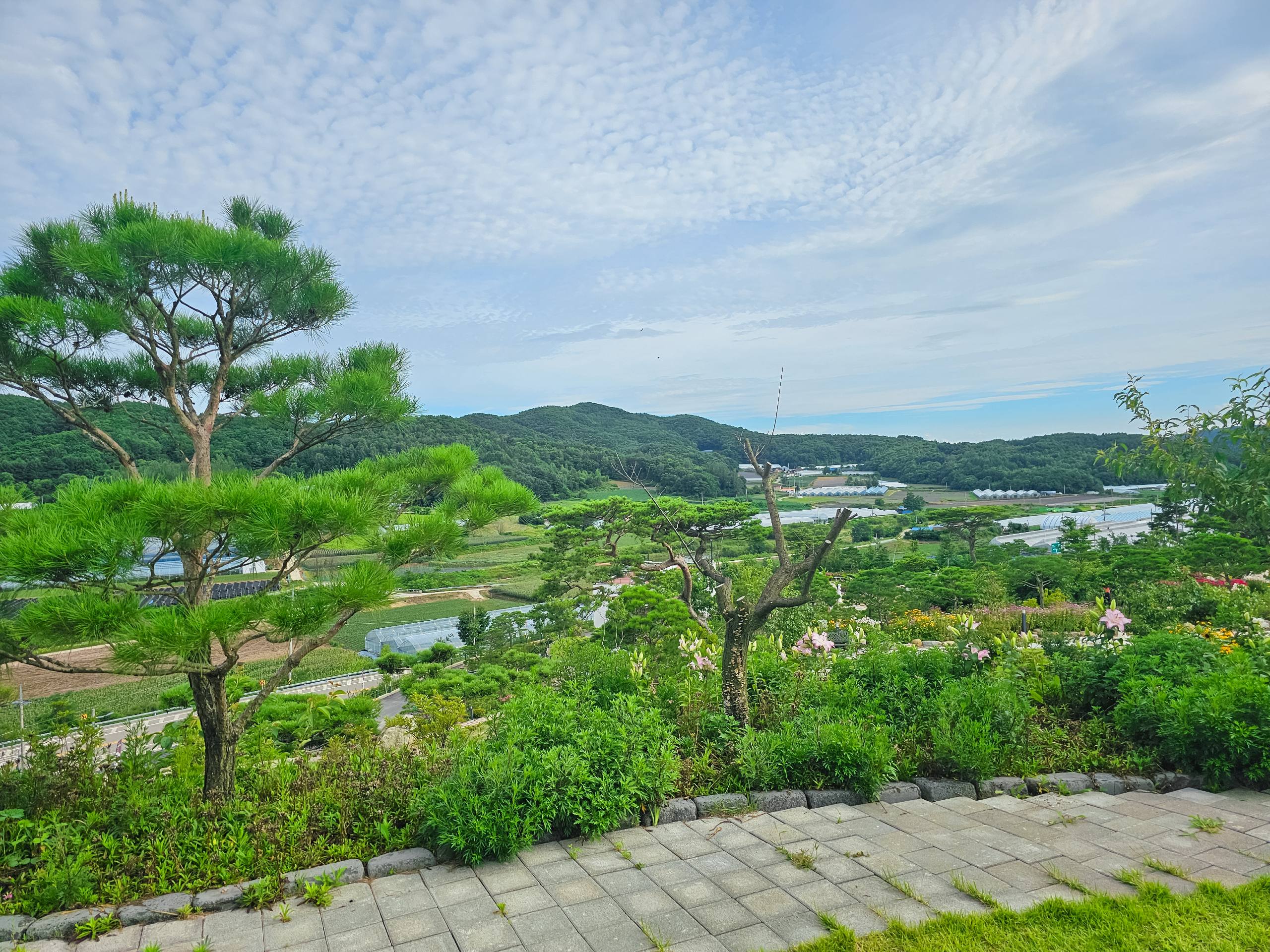 Image #2 from 송은정