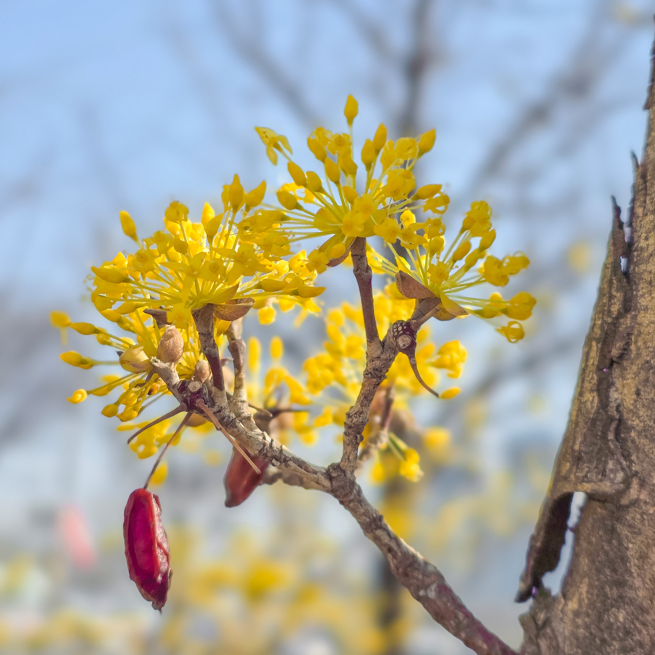 Image #2 from 황보경