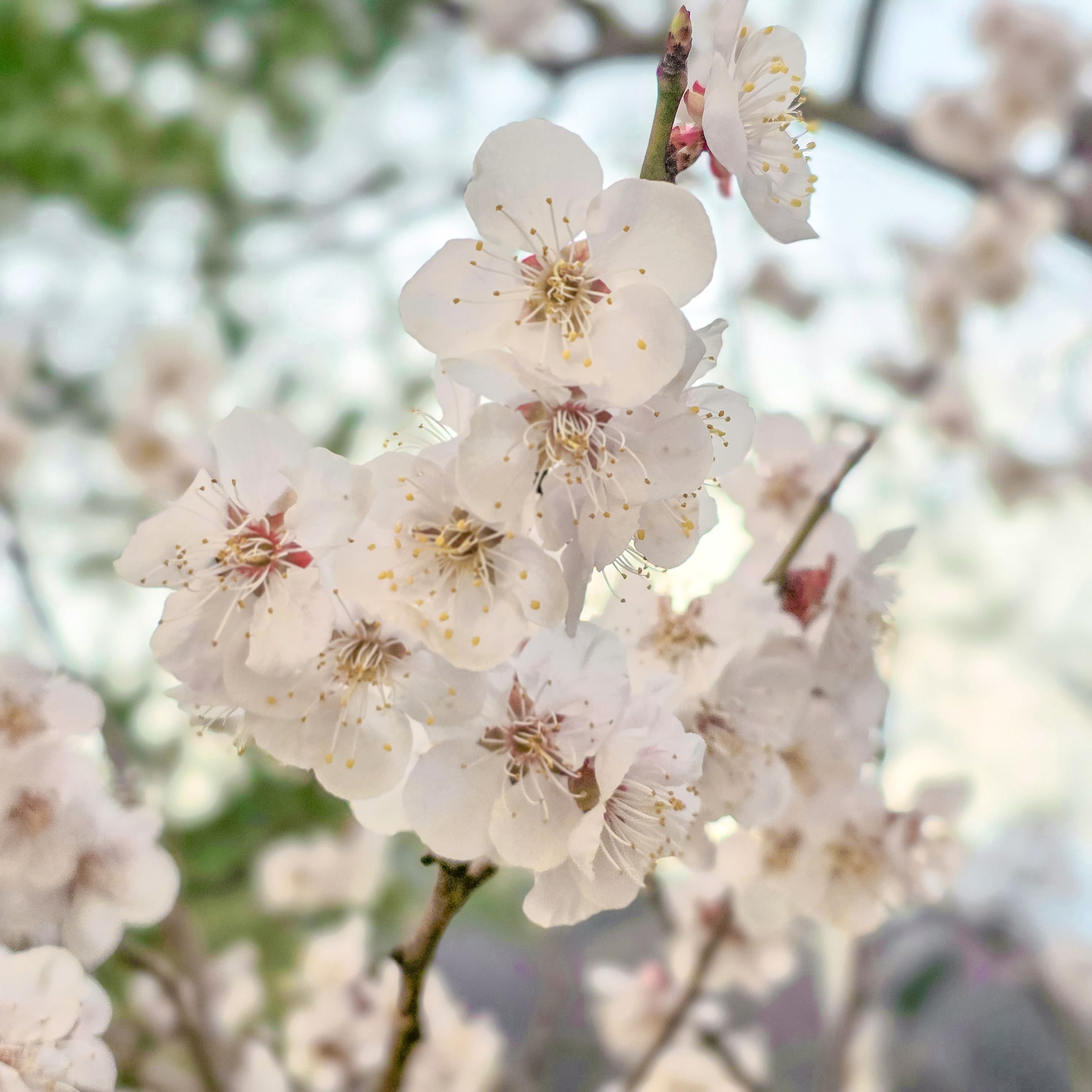 Image #1 from 황보경