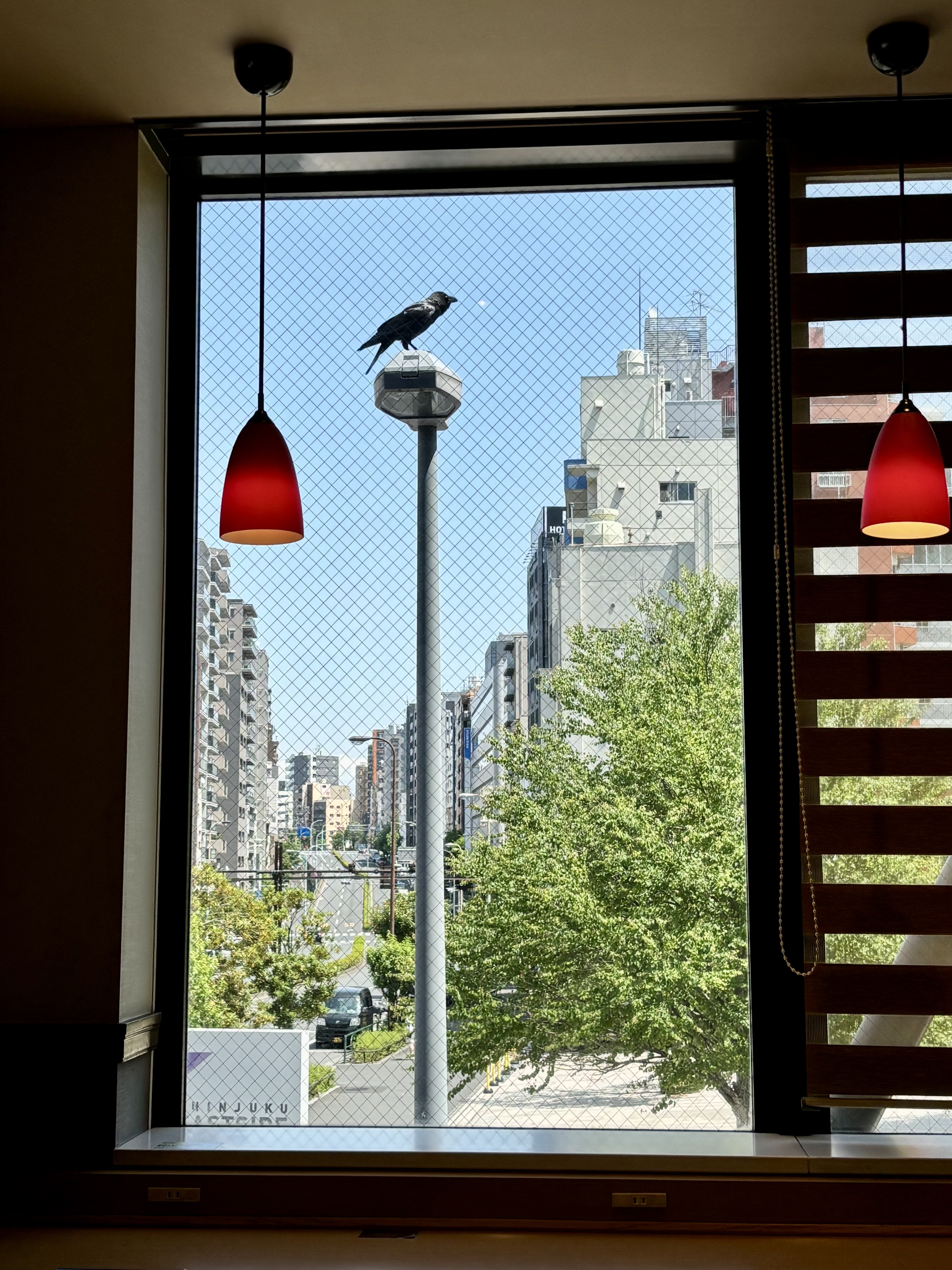 Image #3 from 돌돌