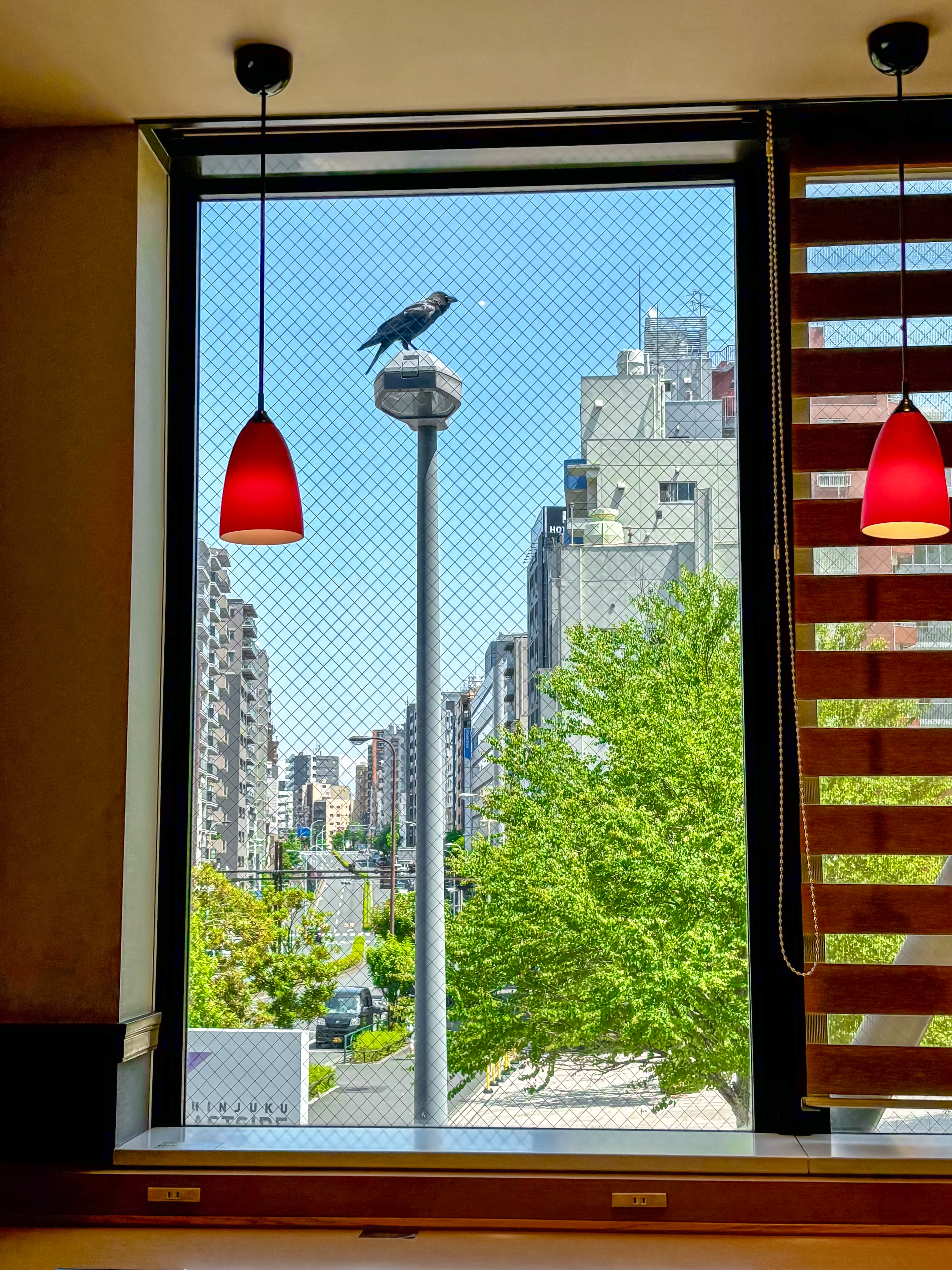 Image #4 from 돌돌