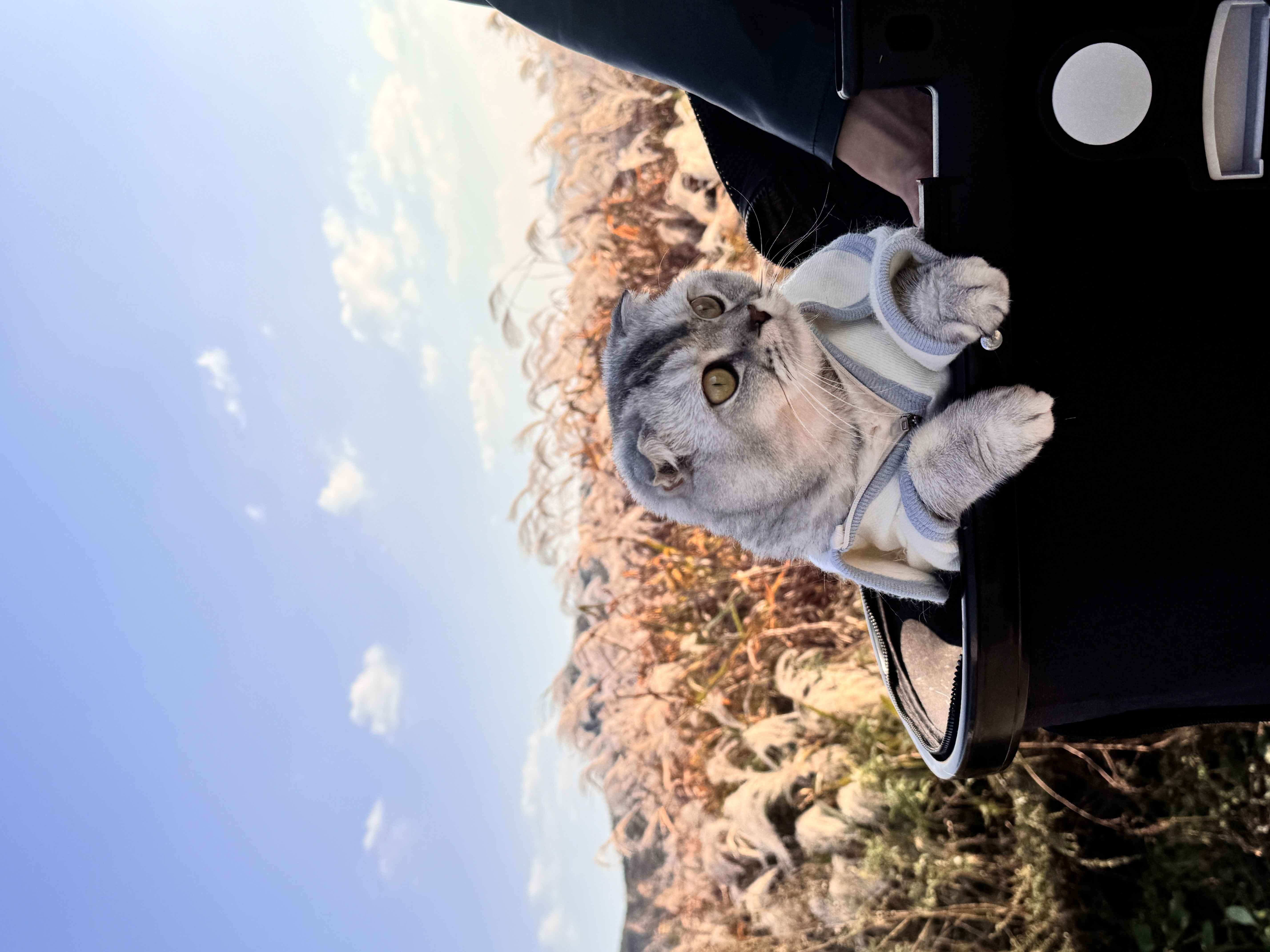 Image #1 from 세영