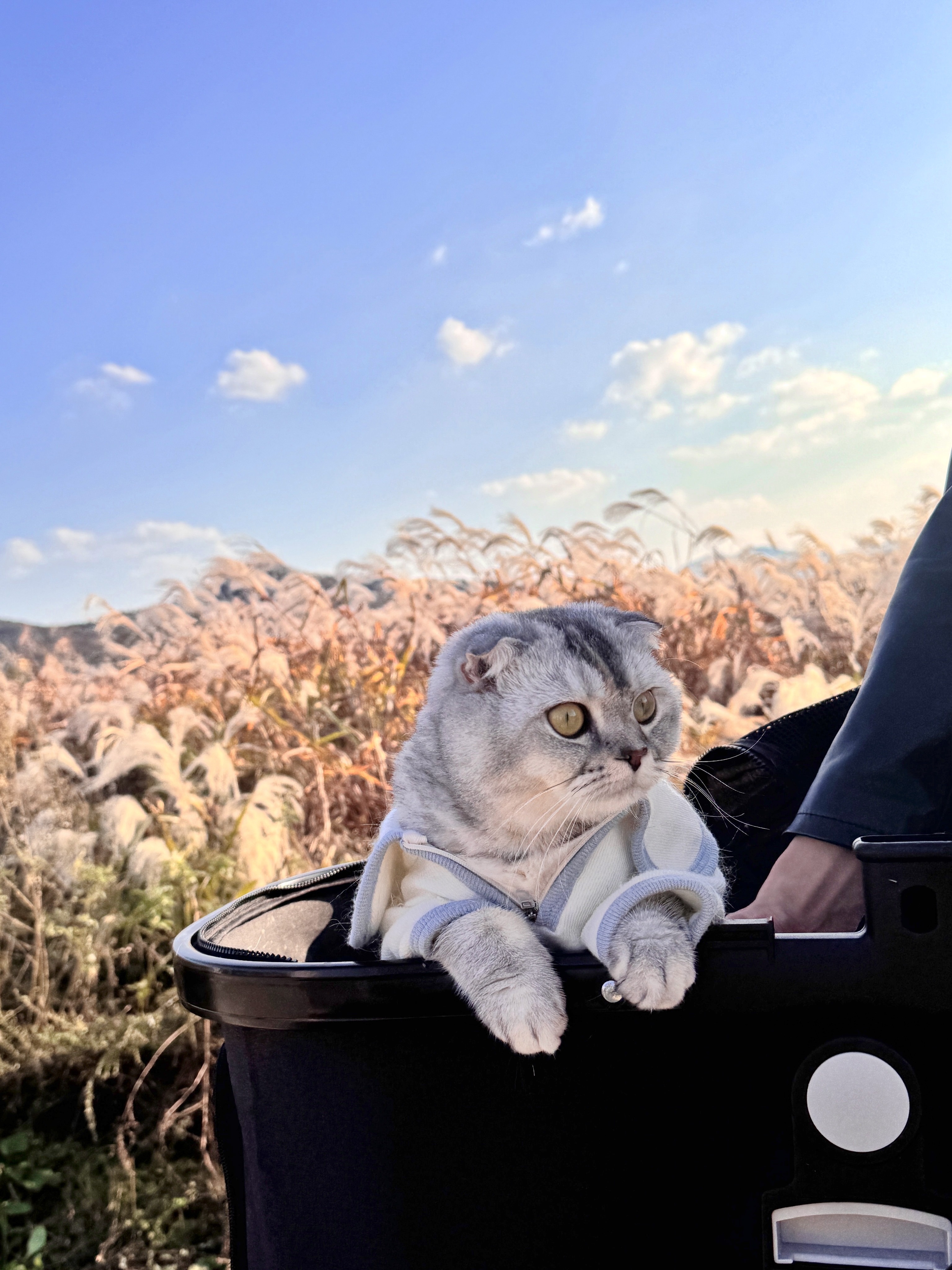 Image #2 from 세영