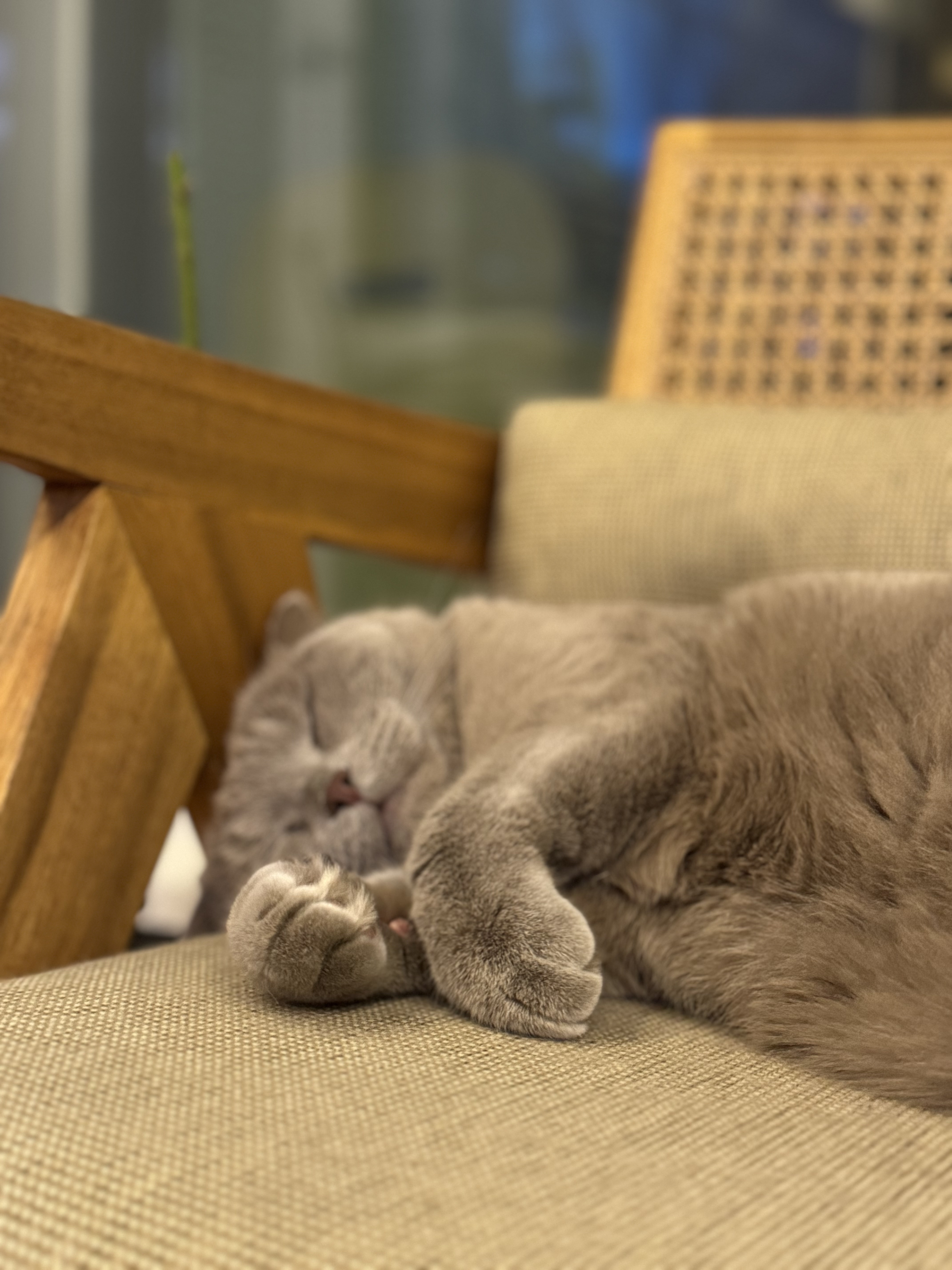 Image #1 from 박은주