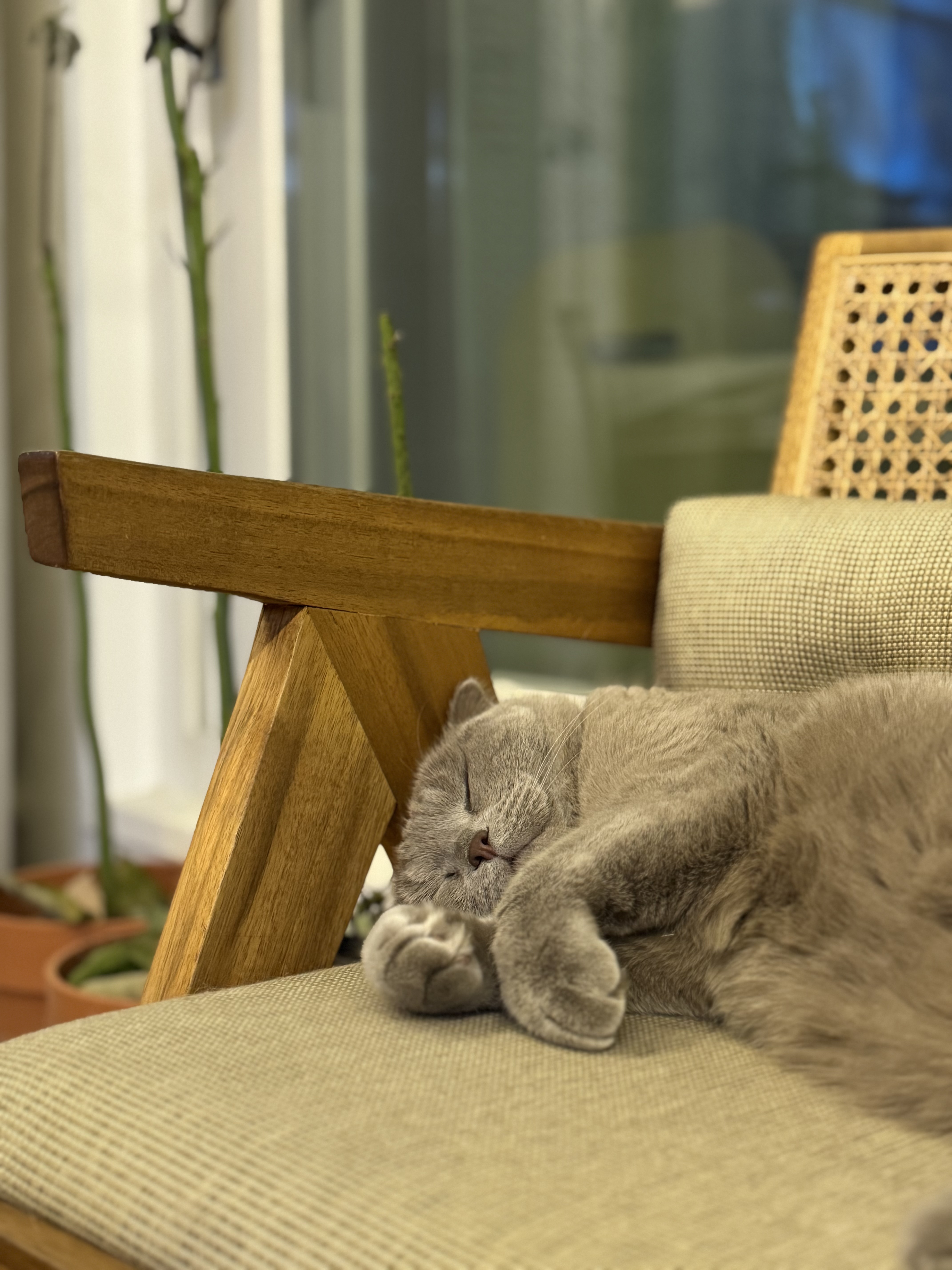 Image #2 from 박은주