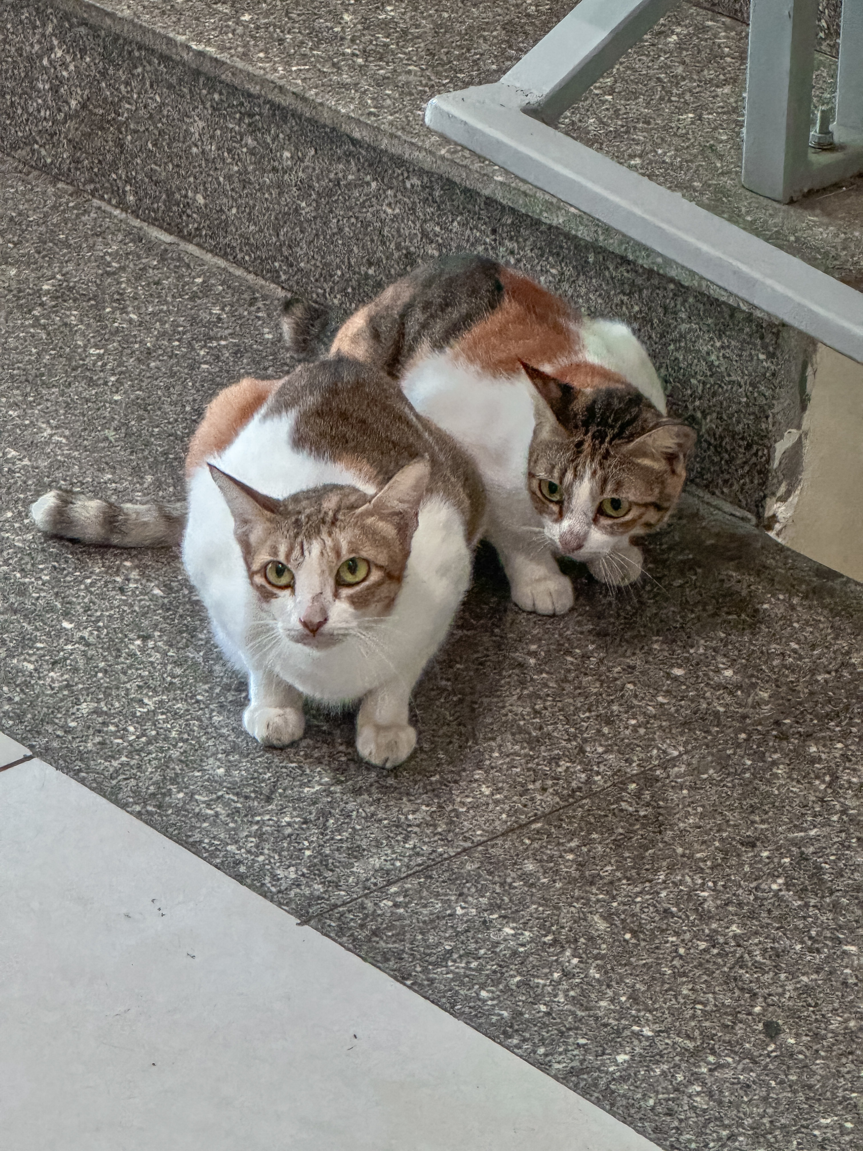 Image #4 from 정은정