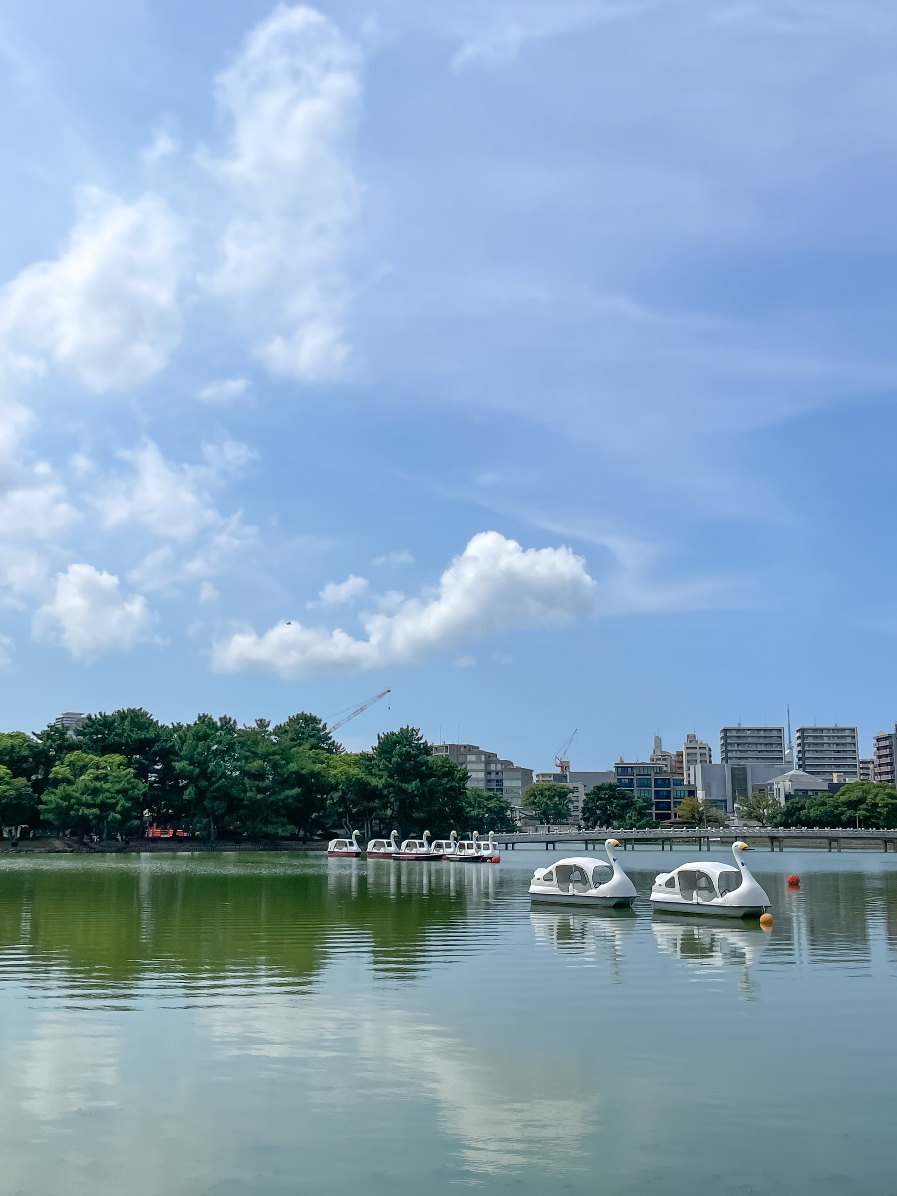 Image #3 from 박유미