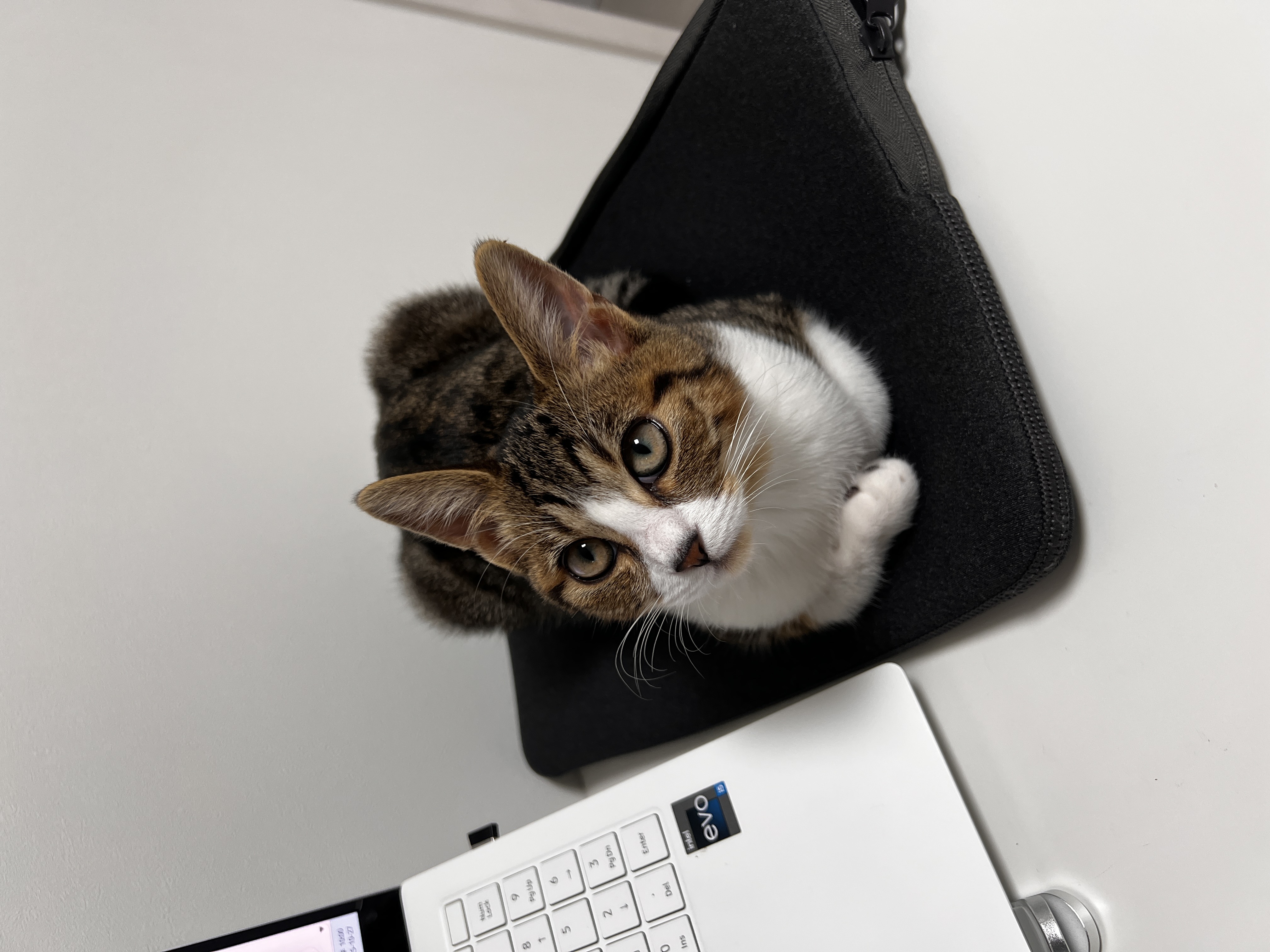 Image #1 from 허진여