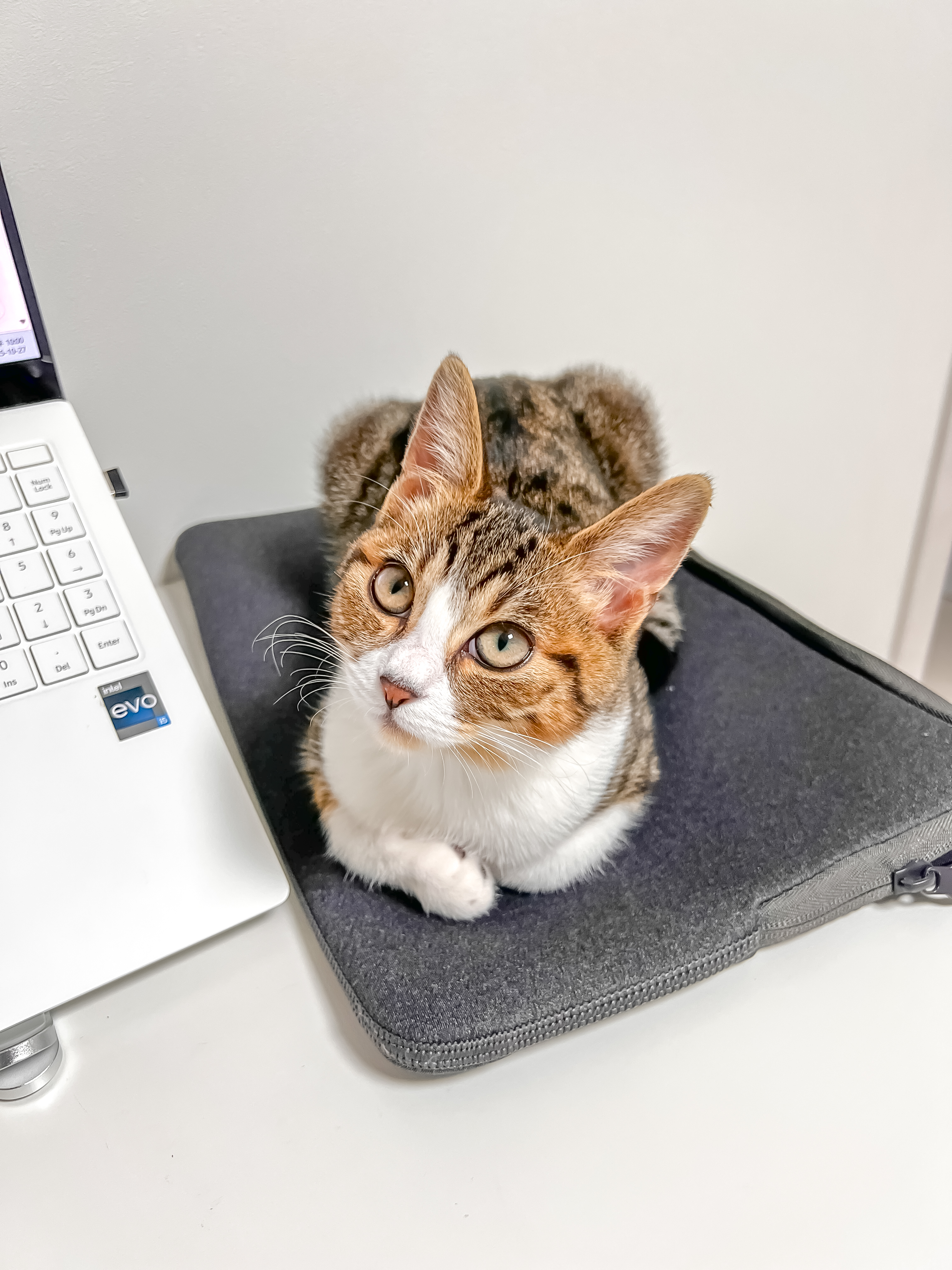 Image #2 from 허진여