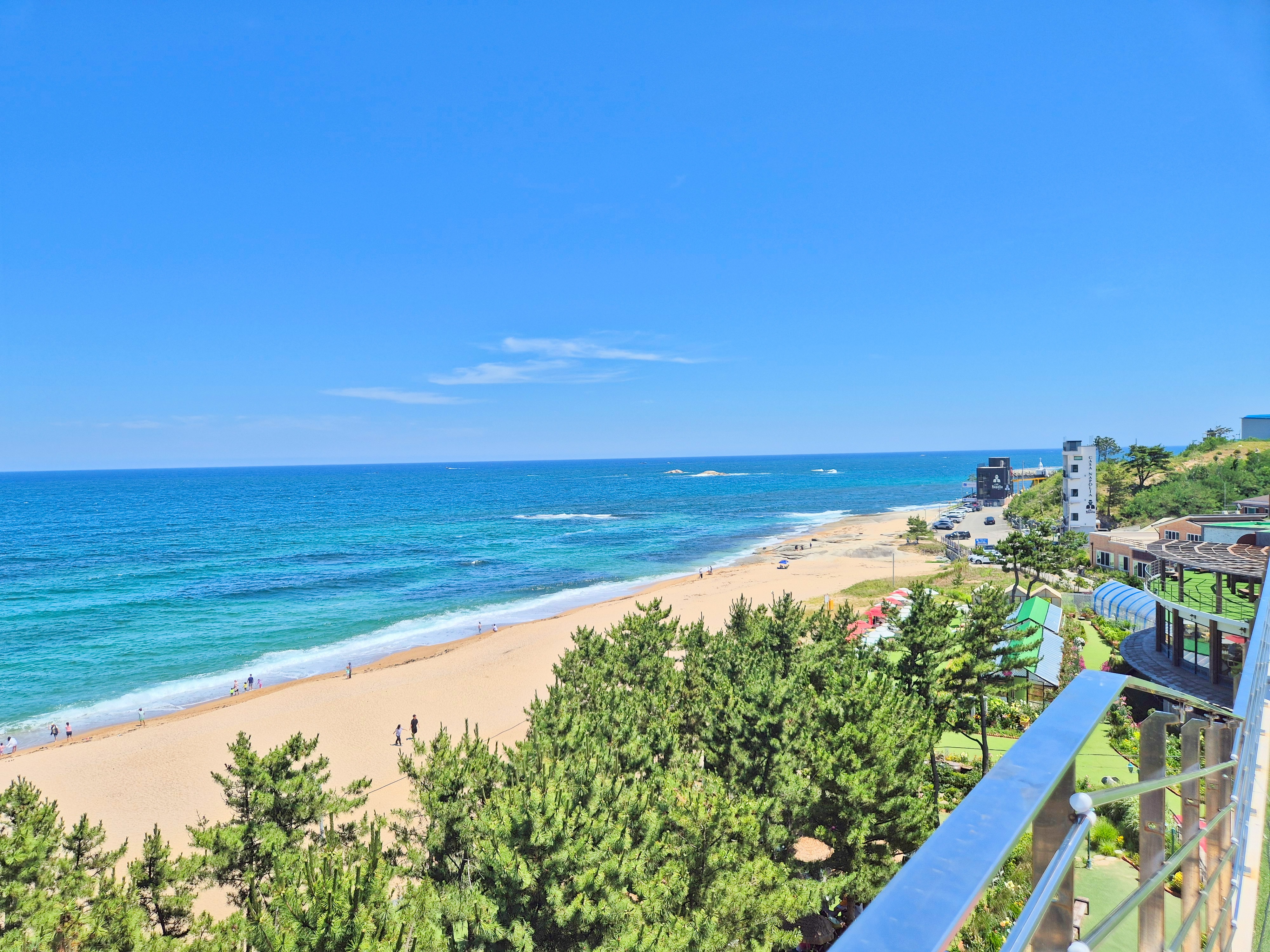 Image #4 from 강지원