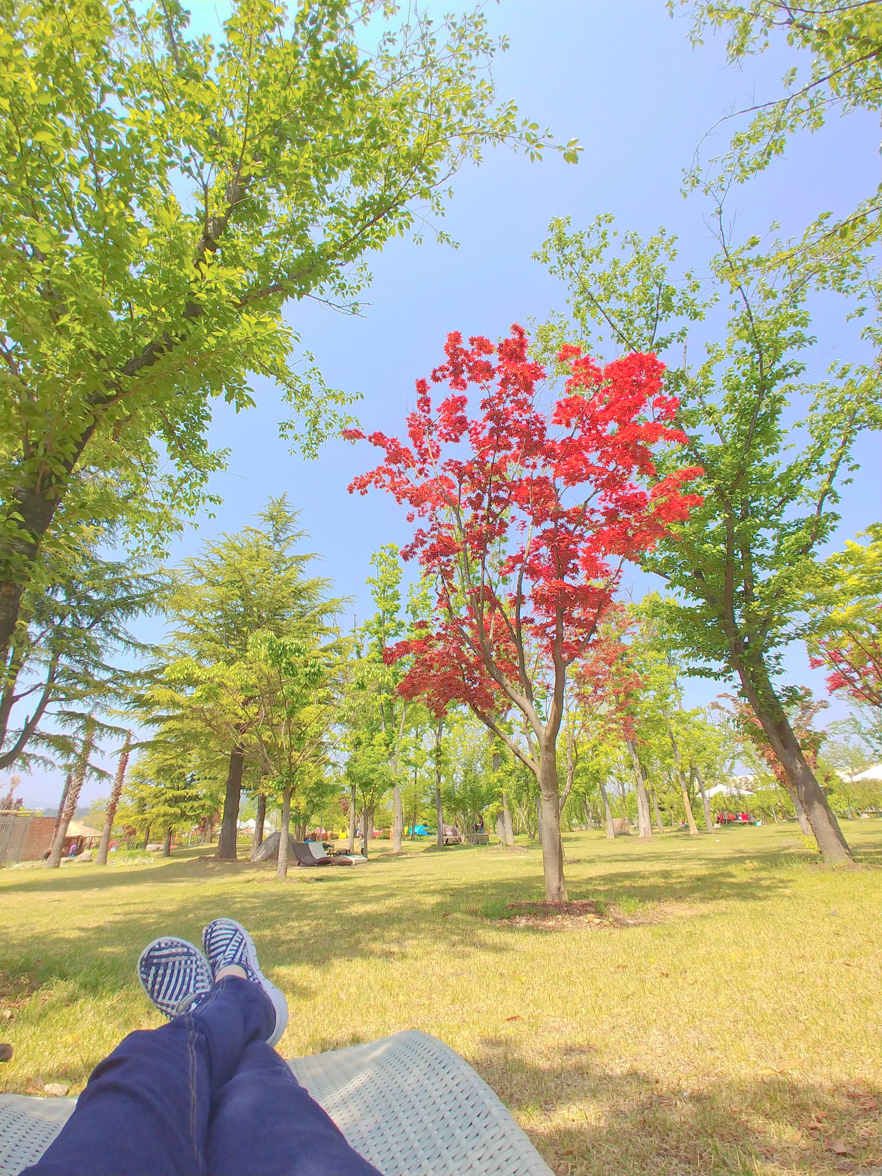 Image #2 from 강지원