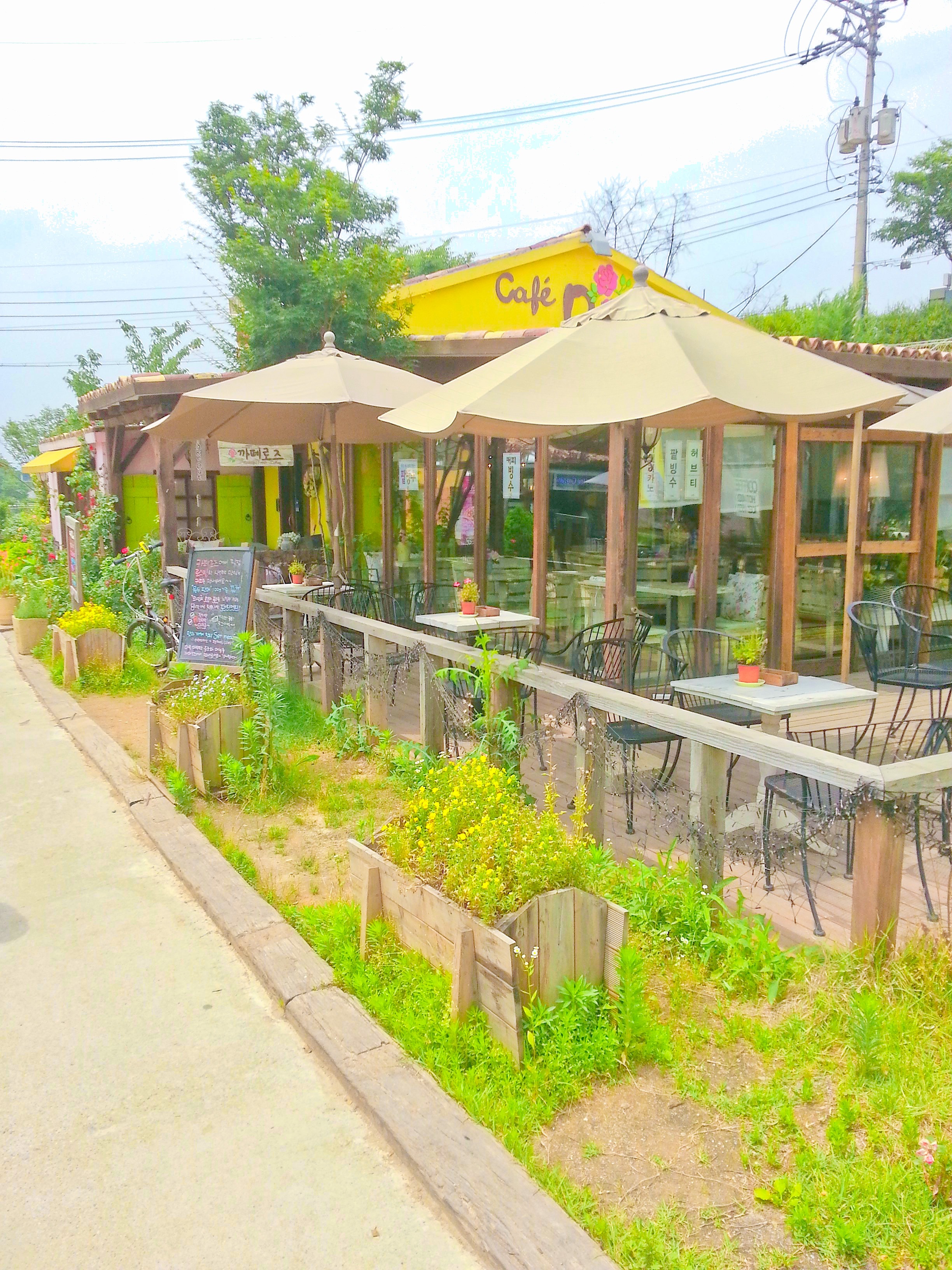 Image #1 from 강지원