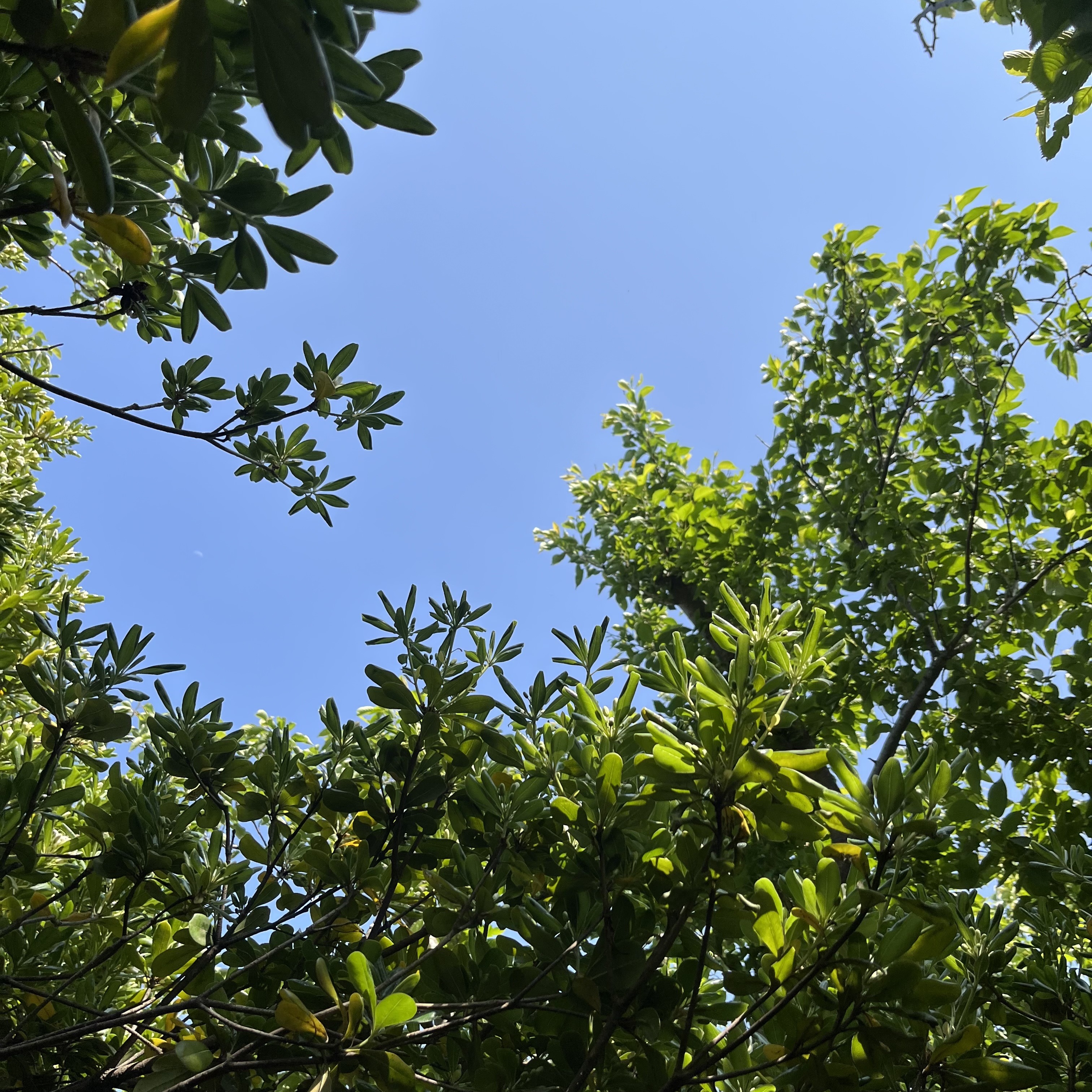 Image #1 from 달님