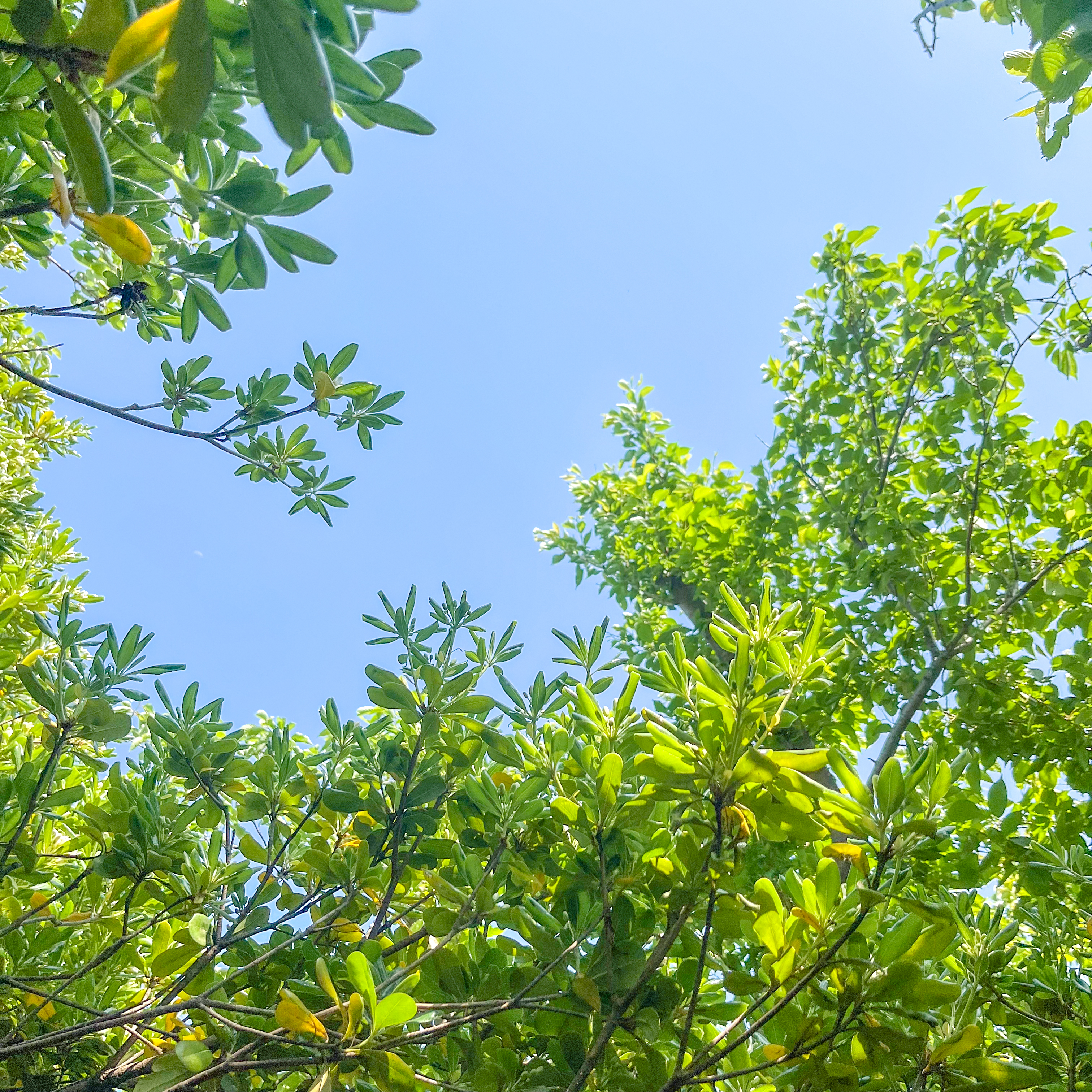 Image #2 from 달님