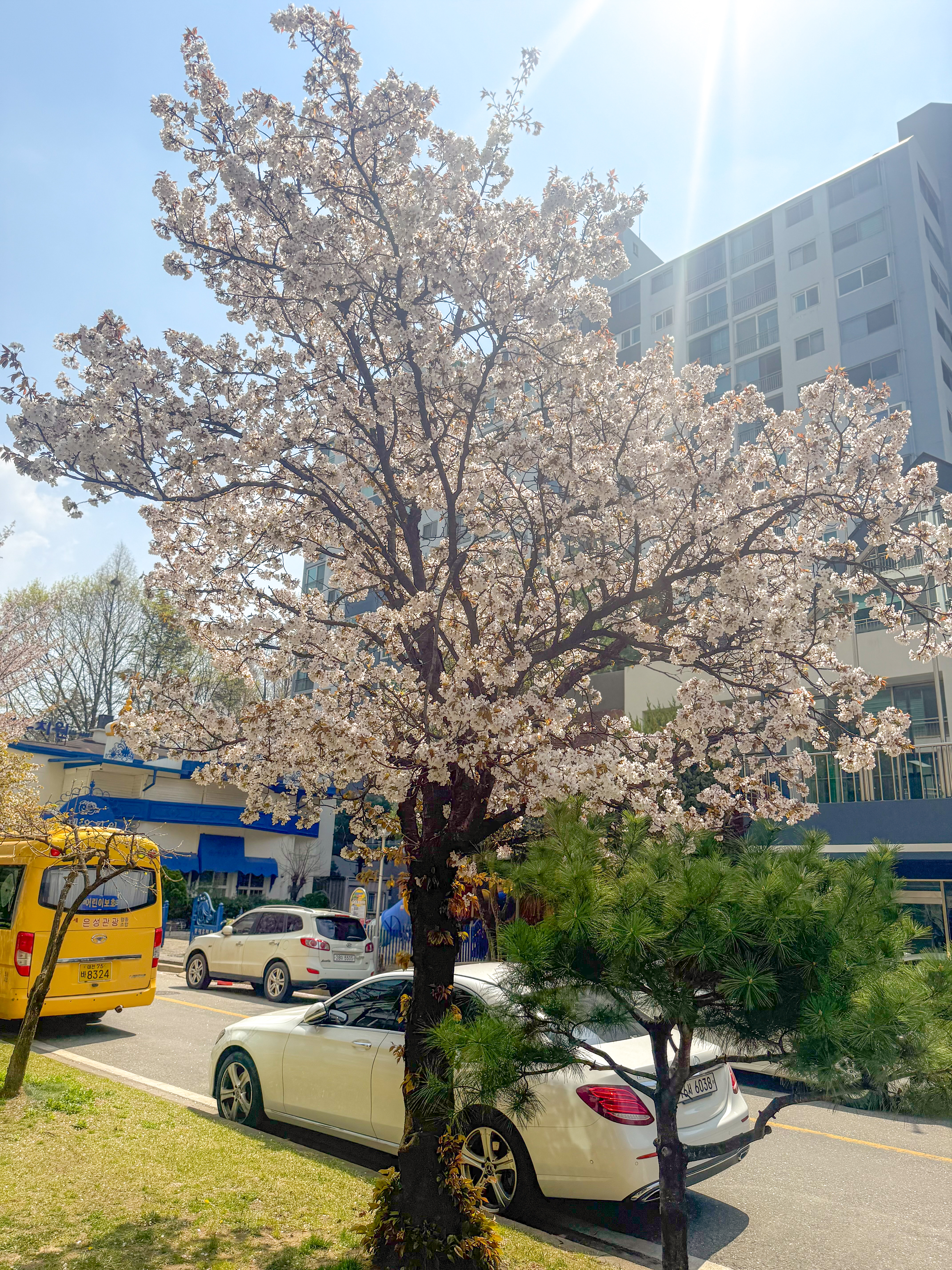 Image #4 from 에스더