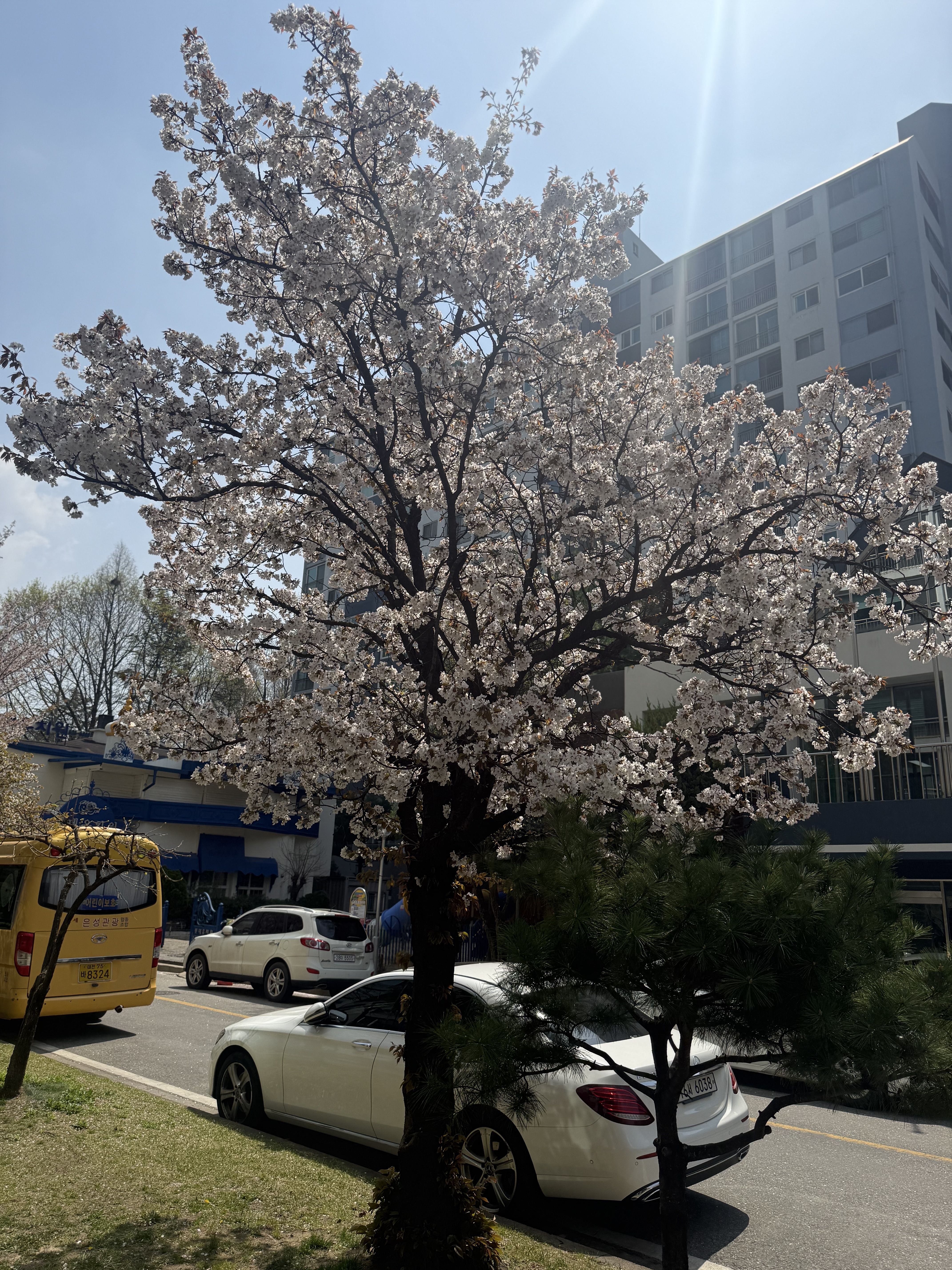 Image #3 from 에스더