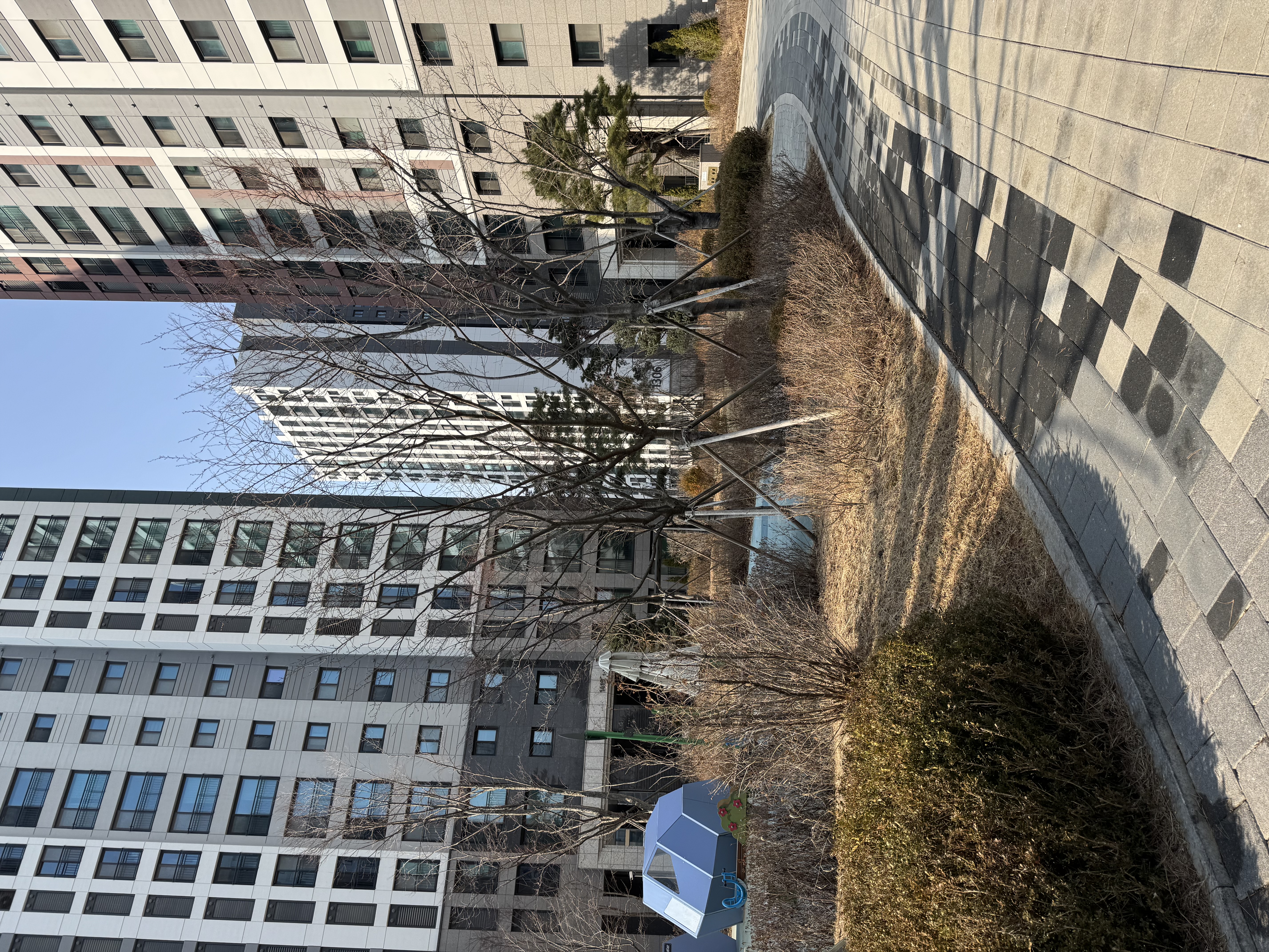 Image #4 from 소아름