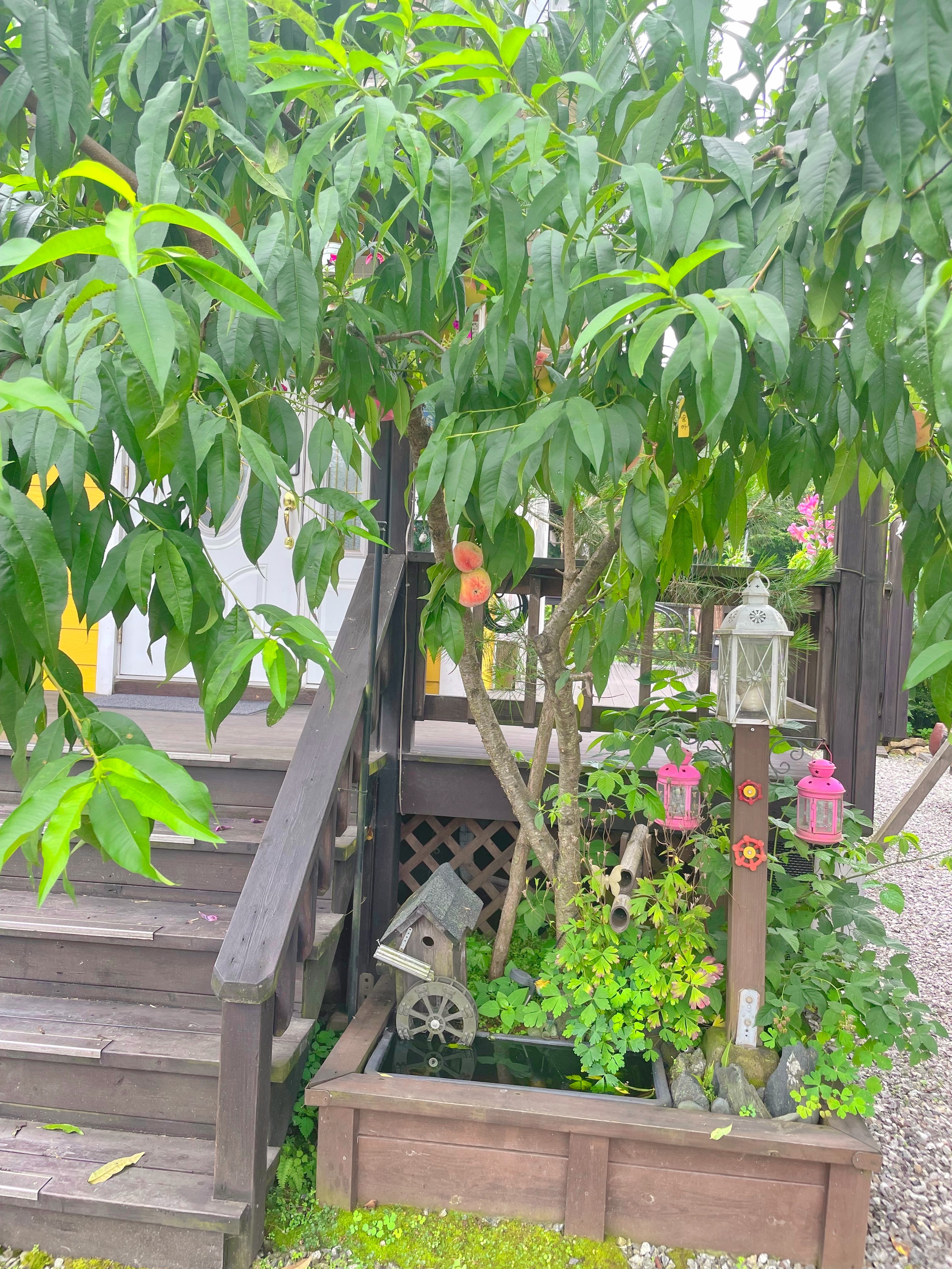 Image #2 from 원성호