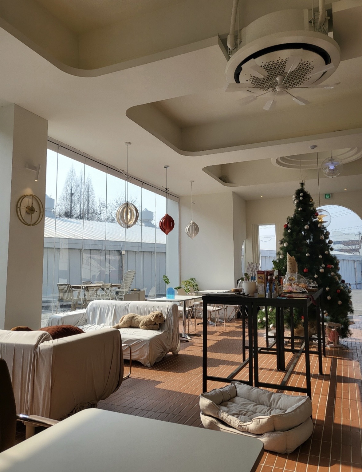 Image #3 from 하뿡