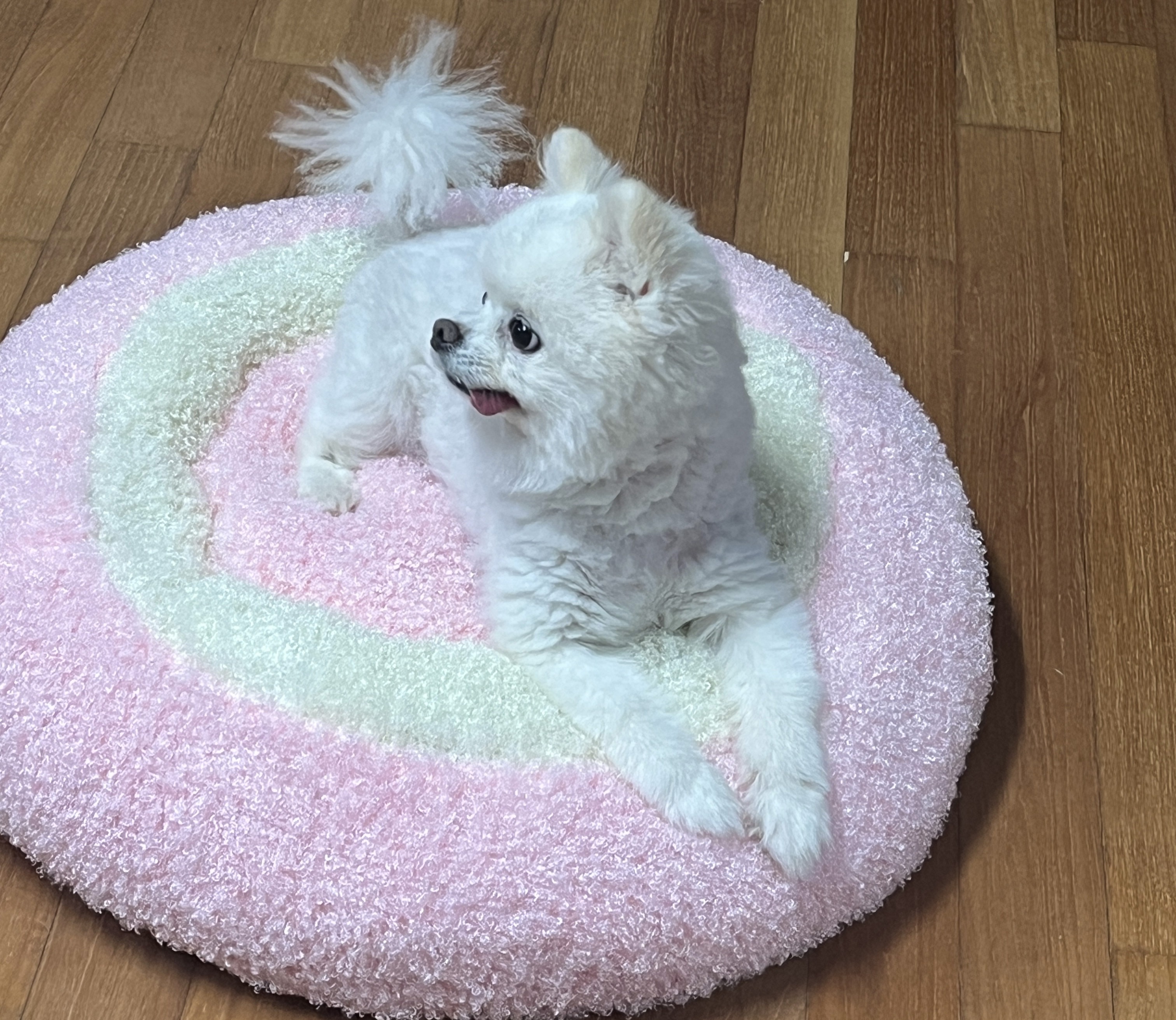 Image #2 from 버터필터최고다