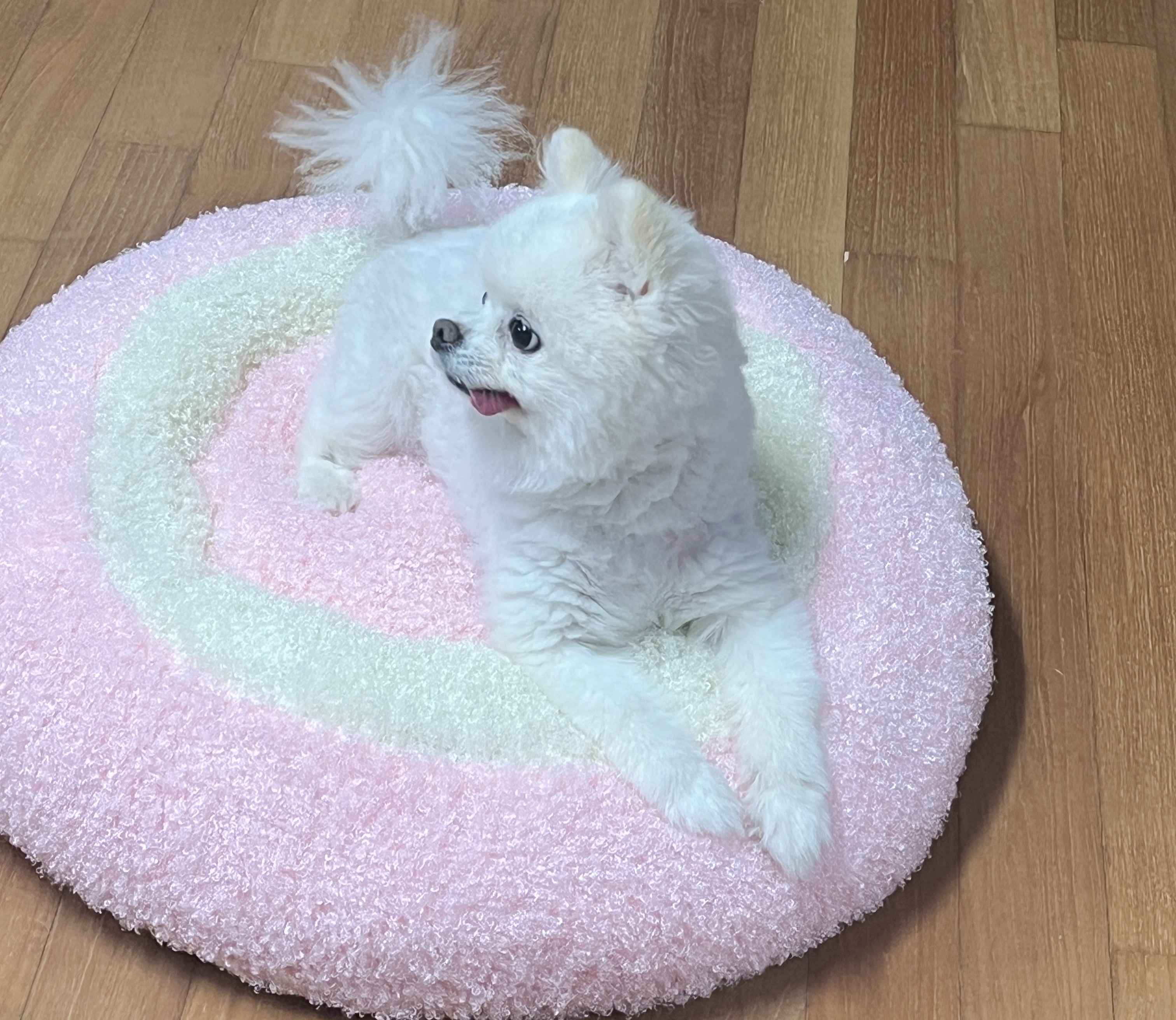 Image #1 from 버터필터최고다